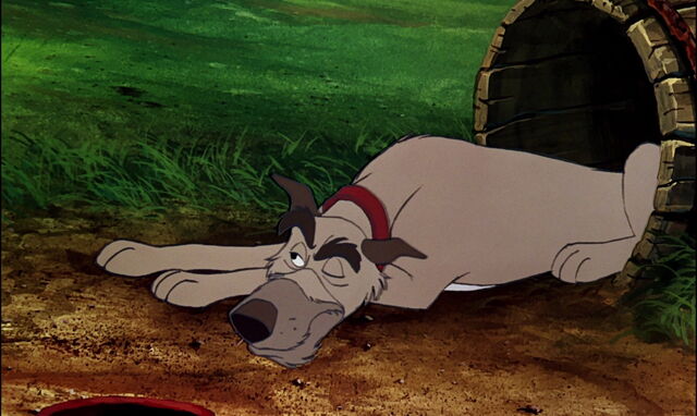 File:Fox-and-the-hound-disneyscreencaps.com-772.jpg