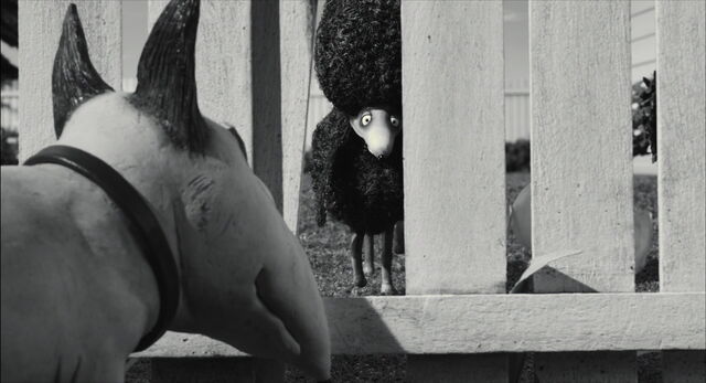 File:Frankenweenie-disneyscreencaps.com-909.jpg