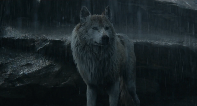 File:Jungle Book 2016 140.png