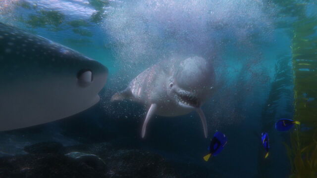 File:Finding-dory-disneyscreencaps.com-8657.jpg