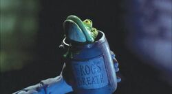 Frog's Breath