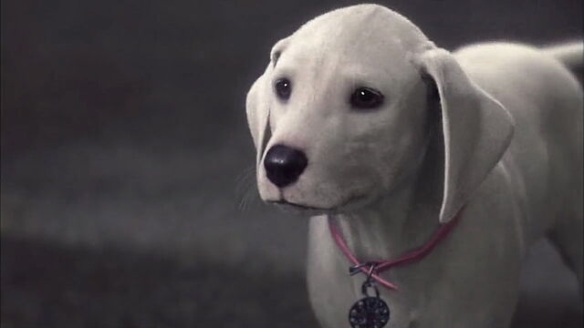 File:102-dalmatians-disneyscreencaps.com-2820.jpg