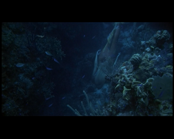 File:Splash1point5MadisonSwimsThroughACoralReef.png