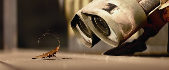 File:Wall-e and Cockroach.jpg