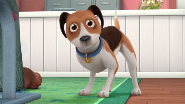 File:Dog from doc mcstuffins.jpg