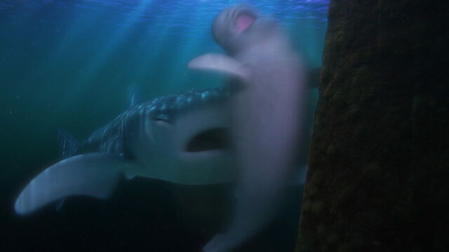 File:Finding-dory-disneyscreencaps com-8755.jpg