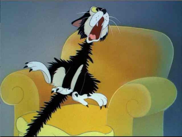 File:089-005screamingpussy.jpg