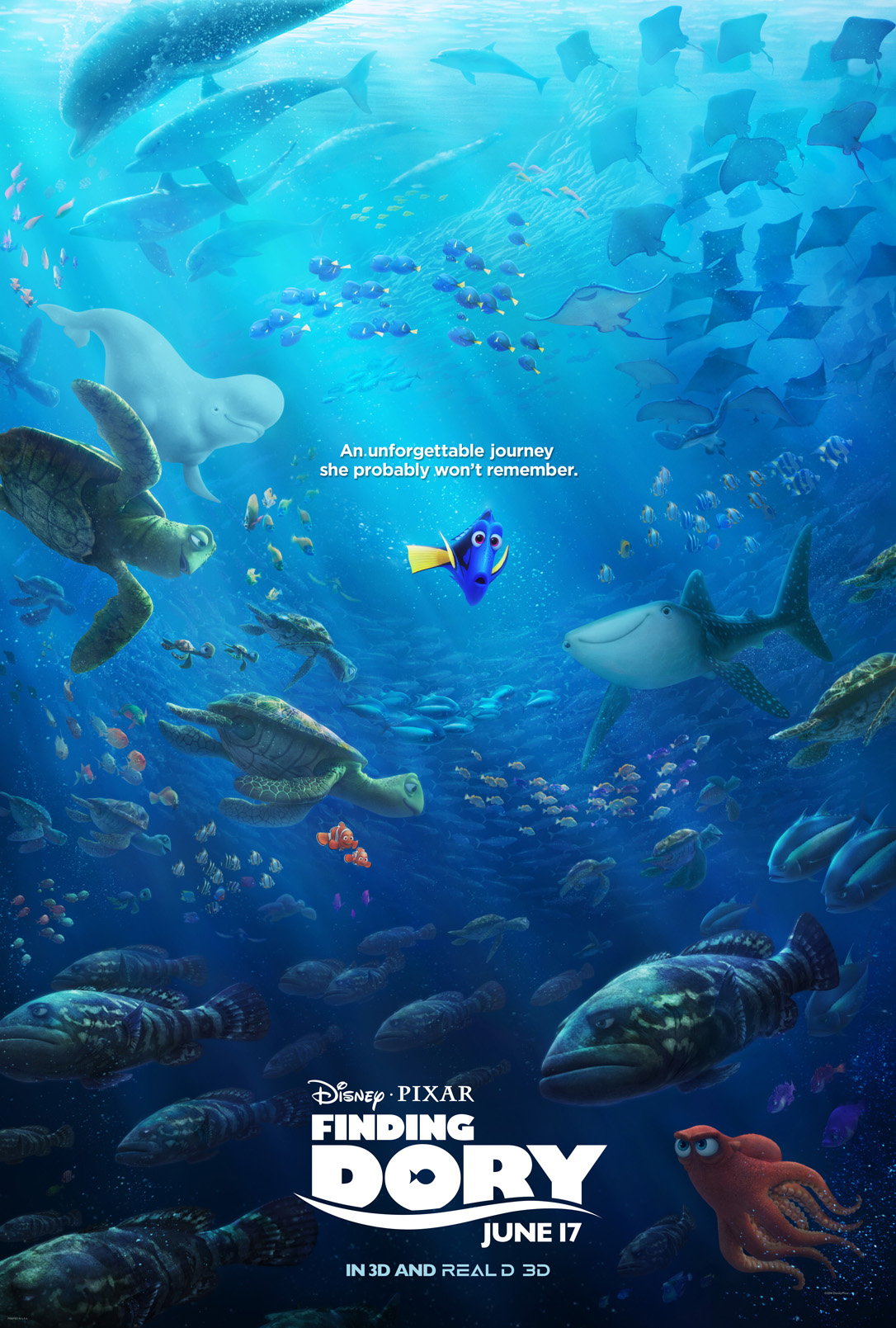 Finding Dory Disney Wiki FANDOM powered by Wikia