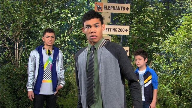 File:Split It Up 18.jpg