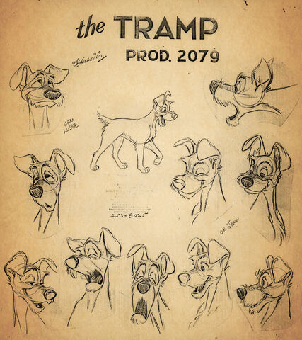 File:Tramp modelsheet.jpg