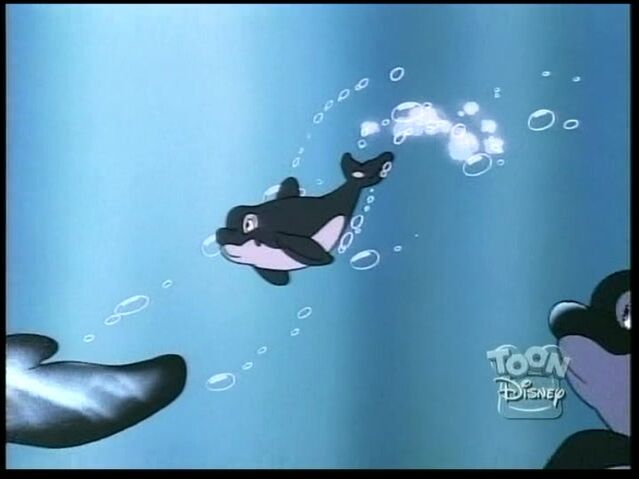 File:Whale2.jpg