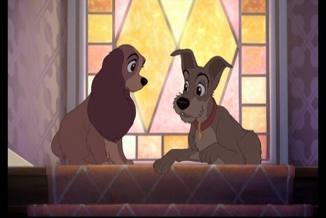 File:Lady-and-the-Tramp-2-Screencaps-lady-and-the-tramp-ii-15595268-720-480.jpg