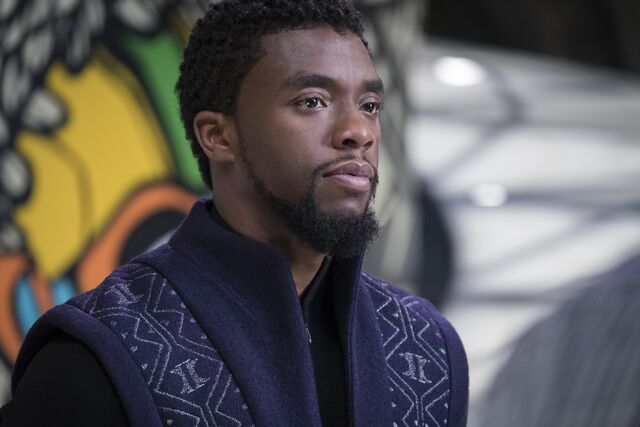 File:Black Panther photography 20.jpg