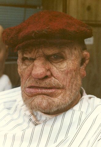 File:Steve-the-Tramp-Brogan-dick-tracy-37099473-881-1280.jpg