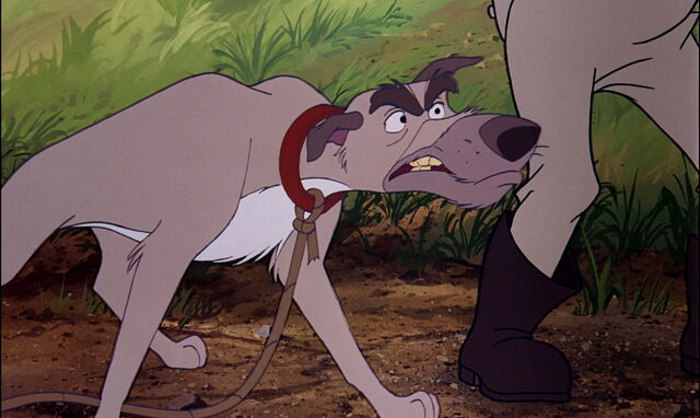 File:Fox-and-the-hound-disneyscreencaps.com-2876.jpg