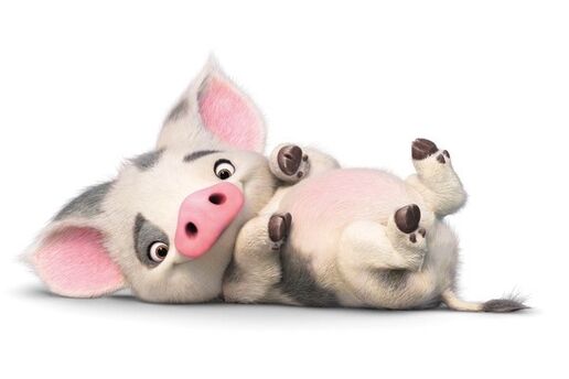 Moana Character Names Pig Moana Character Names Pig