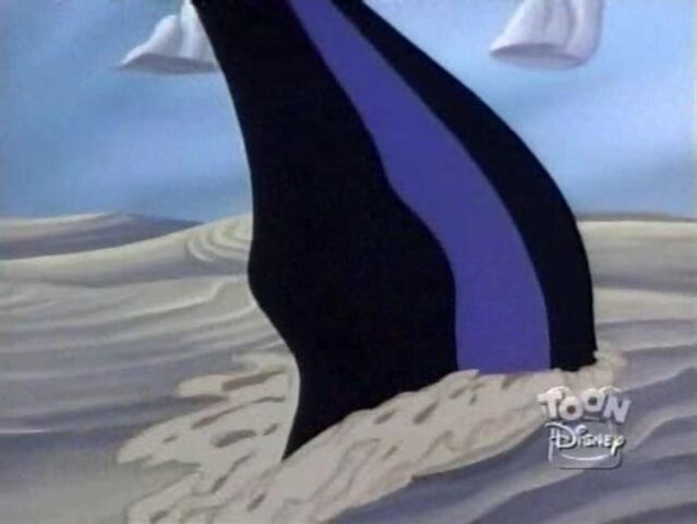 File:Sand Shark 35.jpg