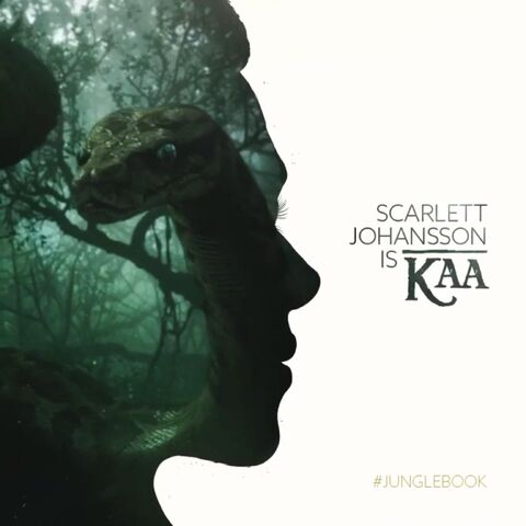 File:Kaa Vine Poster 02.jpeg