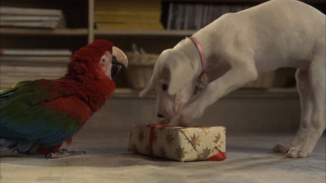 File:102-dalmatians-disneyscreencaps com-4669.jpg