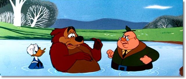 File:Beezybear10.jpg