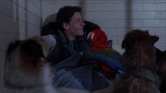 File:102-dalmatians-disneyscreencaps com-7329.jpg