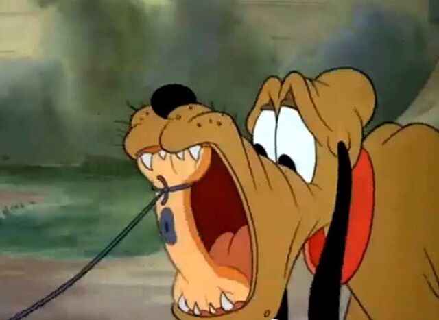 File:Donald's Dog Laundry 3.jpg