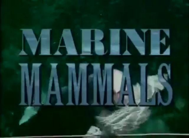 File:Marine Mammals Bill Nye.png