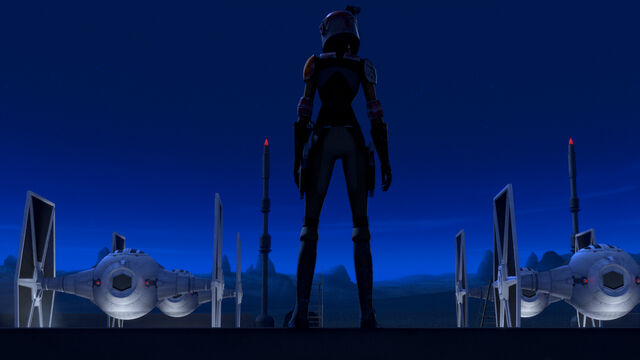 File:Sabine wren.jpg