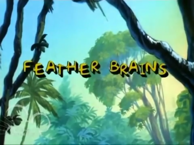 File:Feather Brains.png