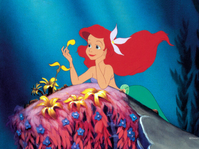 File:Princess Ariel.jpg