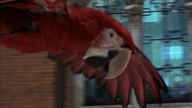 File:102-dalmatians-disneyscreencaps com-8231.jpg