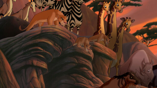 File:Lion-king2-disneyscreencaps.com-6875.jpg