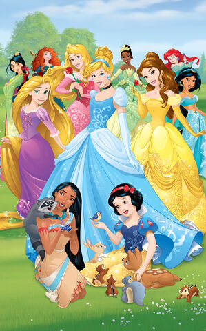 File:Disney Princess Poster.jpg