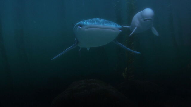 File:Finding-dory-disneyscreencaps com-8728.jpg