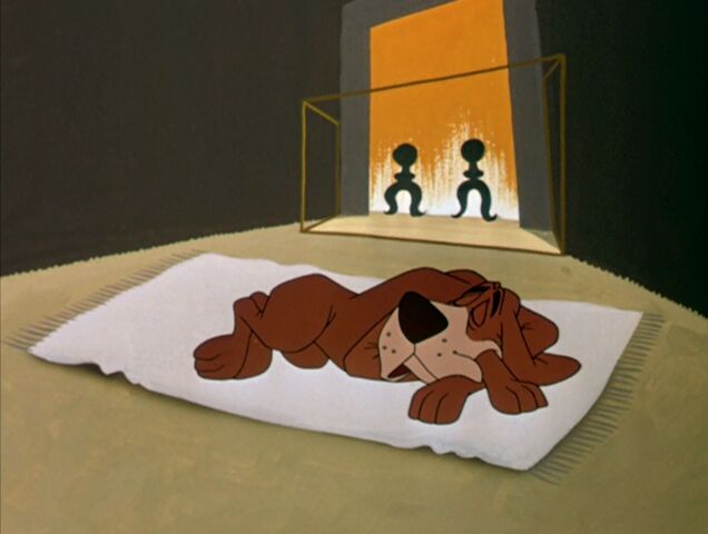 File:Dog sleeping on the rug.jpg
