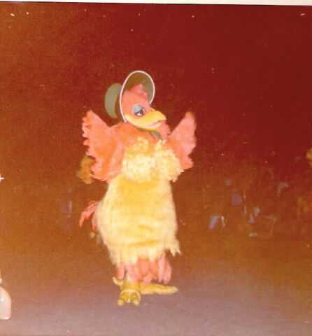 File:Chicken.jpg
