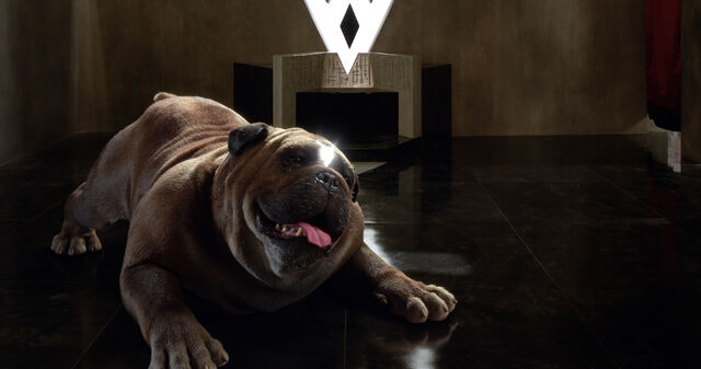 File:The Inhumans 09.jpg