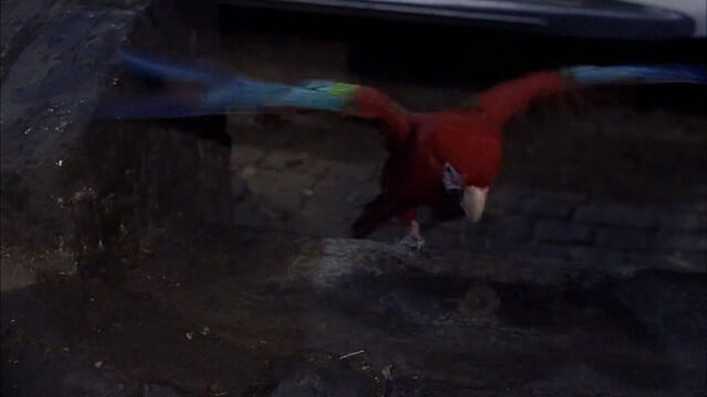 File:102-dalmatians-disneyscreencaps com-8669.jpg