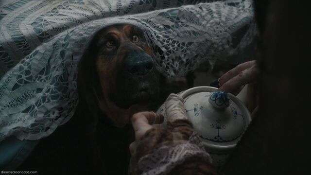 File:Alice-disneyscreencaps com-4049.jpg