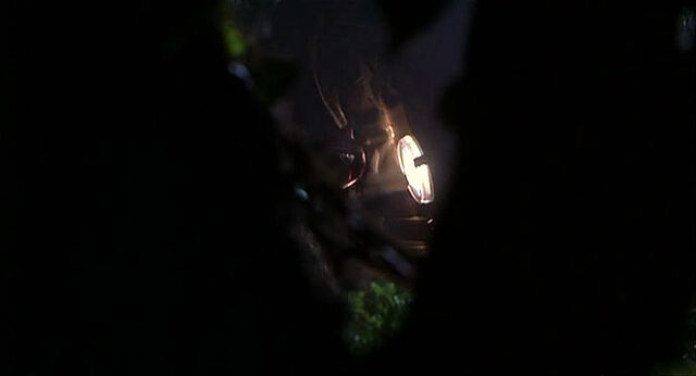 File:Mighty-joe-young-disneyscreencaps.com-836.jpg