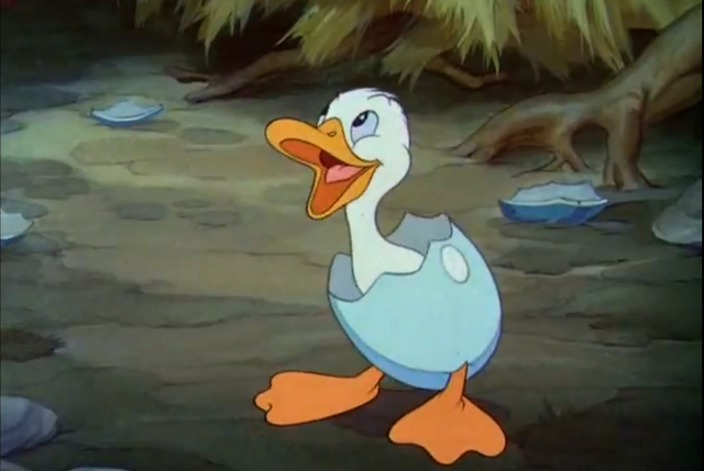 File:NewbornUD.png