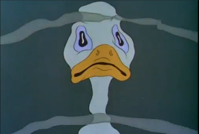 File:Udreflection.png