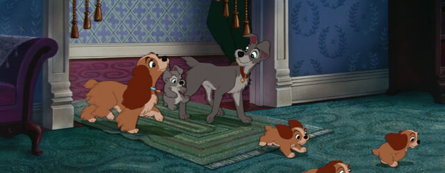 File:Lady-tramp-disneyscreencaps.com-8593.jpg