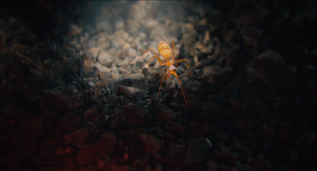 File:Ant-Man (film) 19.png