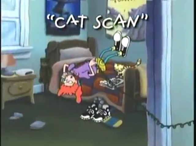 File:CatScan.png