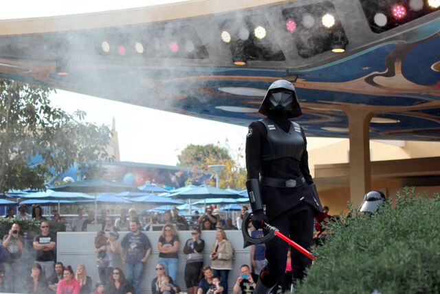File:Seventh Sister at Disney Parks 24.jpg
