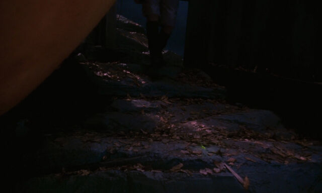 File:James-giant-peach-disneyscreencaps com-2093.jpg