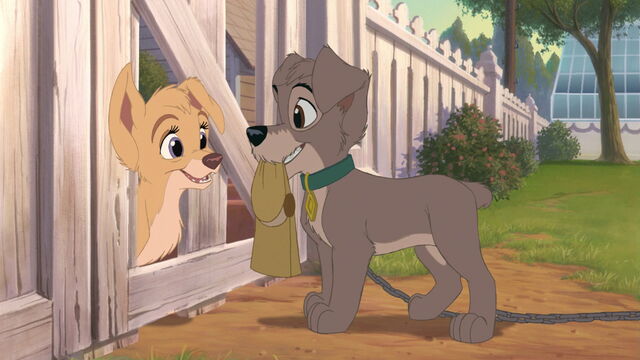 File:Lady-tramp-2-disneyscreencaps.com-1165.jpg