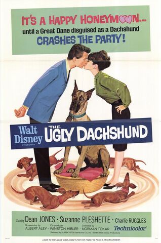 File:Ugly Dachshund.jpg