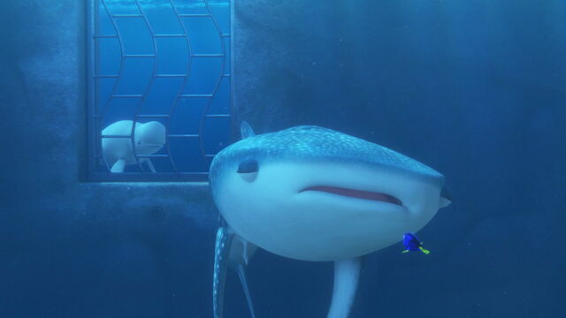 File:Finding-dory-disneyscreencaps.com-3699.jpg